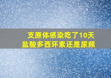 支原体感染吃了10天盐酸多西环素还是尿频