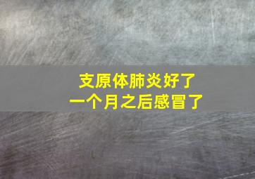 支原体肺炎好了一个月之后感冒了