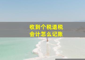 收到个税退税会计怎么记账