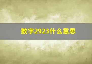 数字2923什么意思