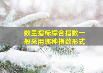 数量指标综合指数一般采用哪种指数形式