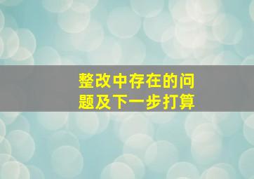 整改中存在的问题及下一步打算