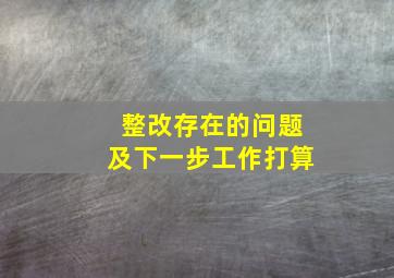 整改存在的问题及下一步工作打算