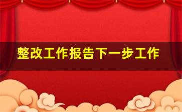 整改工作报告下一步工作