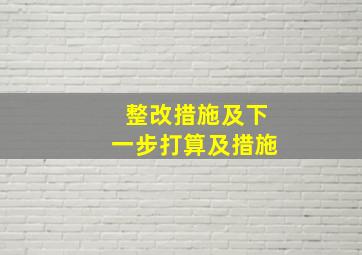 整改措施及下一步打算及措施