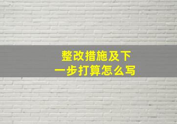 整改措施及下一步打算怎么写