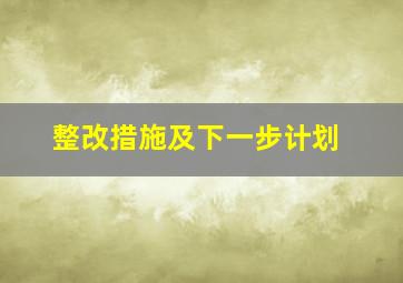 整改措施及下一步计划