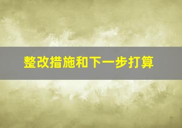 整改措施和下一步打算