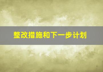 整改措施和下一步计划