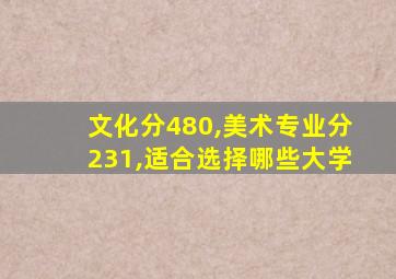 文化分480,美术专业分231,适合选择哪些大学