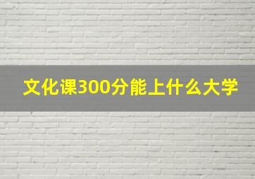 文化课300分能上什么大学