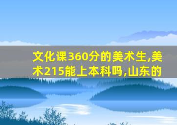 文化课360分的美术生,美术215能上本科吗,山东的