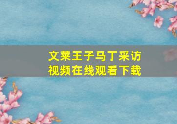 文莱王子马丁采访视频在线观看下载