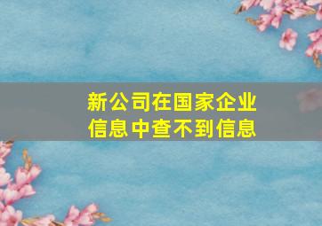 新公司在国家企业信息中查不到信息