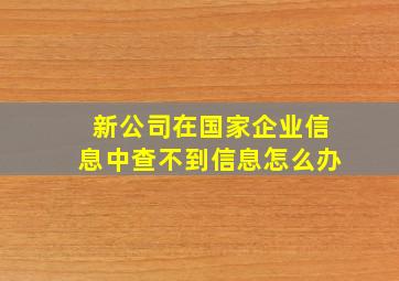 新公司在国家企业信息中查不到信息怎么办