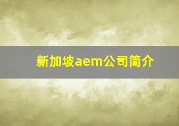 新加坡aem公司简介