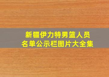 新疆伊力特男篮人员名单公示栏图片大全集