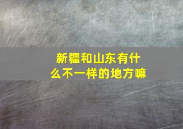 新疆和山东有什么不一样的地方嘛