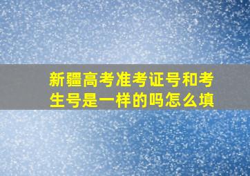 新疆高考准考证号和考生号是一样的吗怎么填