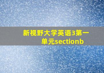 新视野大学英语3第一单元sectionb