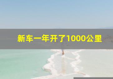 新车一年开了1000公里