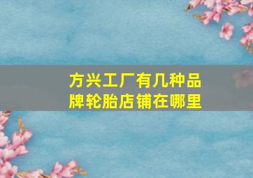 方兴工厂有几种品牌轮胎店铺在哪里