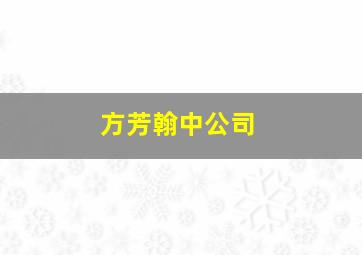 方芳翰中公司