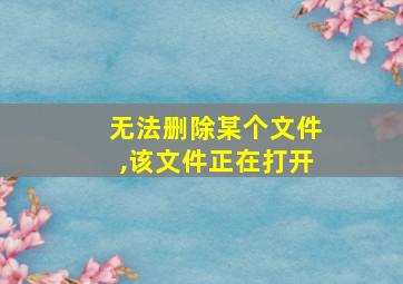 无法删除某个文件,该文件正在打开