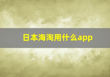 日本海淘用什么app