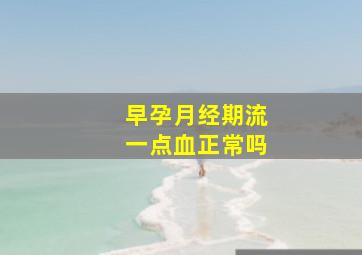 早孕月经期流一点血正常吗