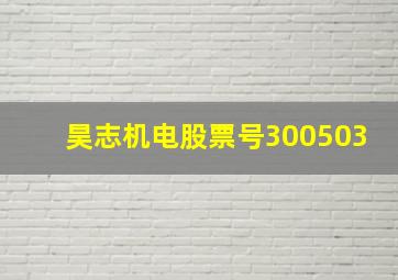 昊志机电股票号300503