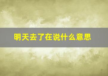 明天去了在说什么意思