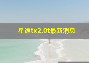 星途tx2.0t最新消息