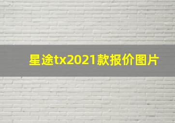 星途tx2021款报价图片