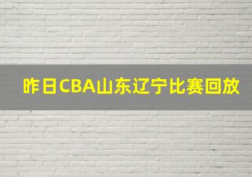 昨日CBA山东辽宁比赛回放