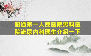 昭通第一人民医院男科医院泌尿内科医生介绍一下