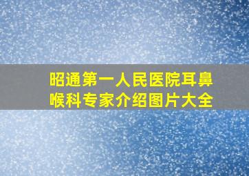 昭通第一人民医院耳鼻喉科专家介绍图片大全