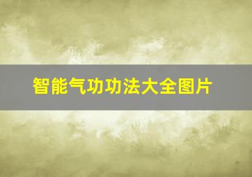 智能气功功法大全图片