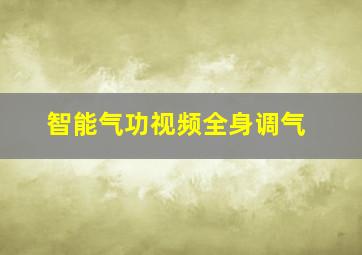 智能气功视频全身调气