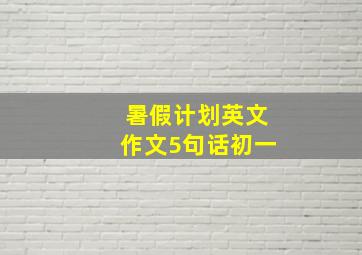 暑假计划英文作文5句话初一