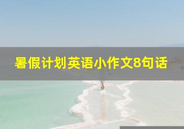 暑假计划英语小作文8句话