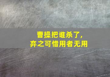 曹操把谁杀了,弃之可惜用者无用