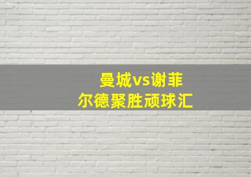 曼城vs谢菲尔德聚胜顽球汇