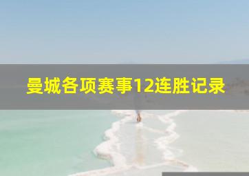 曼城各项赛事12连胜记录