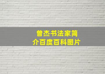 曾杰书法家简介百度百科图片