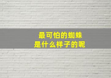 最可怕的蜘蛛是什么样子的呢