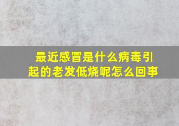 最近感冒是什么病毒引起的老发低烧呢怎么回事