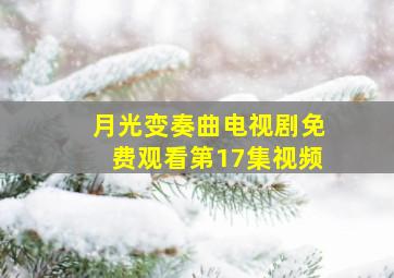 月光变奏曲电视剧免费观看第17集视频