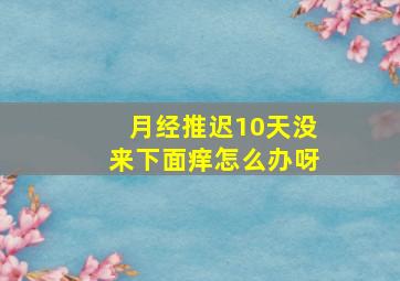 月经推迟10天没来下面痒怎么办呀