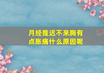 月经推迟不来胸有点胀痛什么原因呢